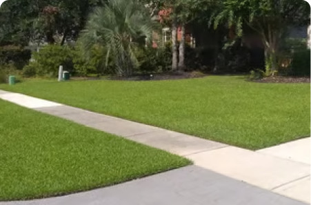 A photograph of freshly cut lawn and pavement sidewalks.