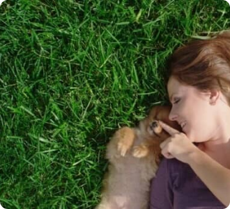 A photograph of a person with a dog playing on the grass