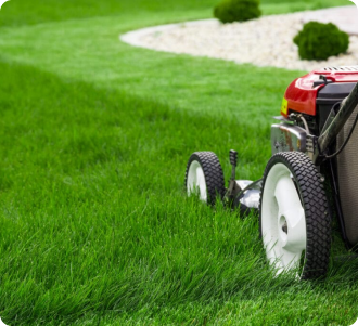 A photograph of a Lawn Mower